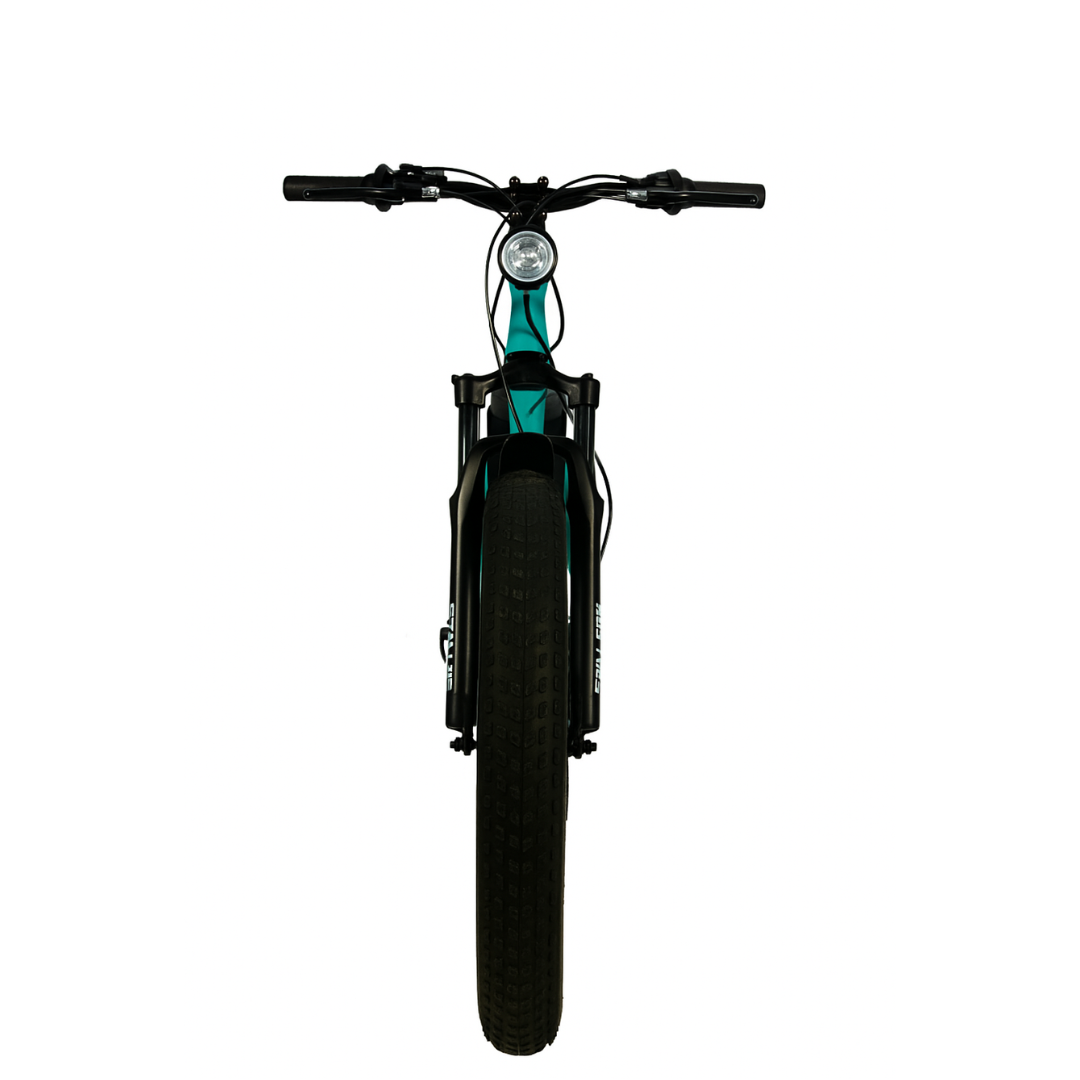 Stellar R1 Fat E-Bike