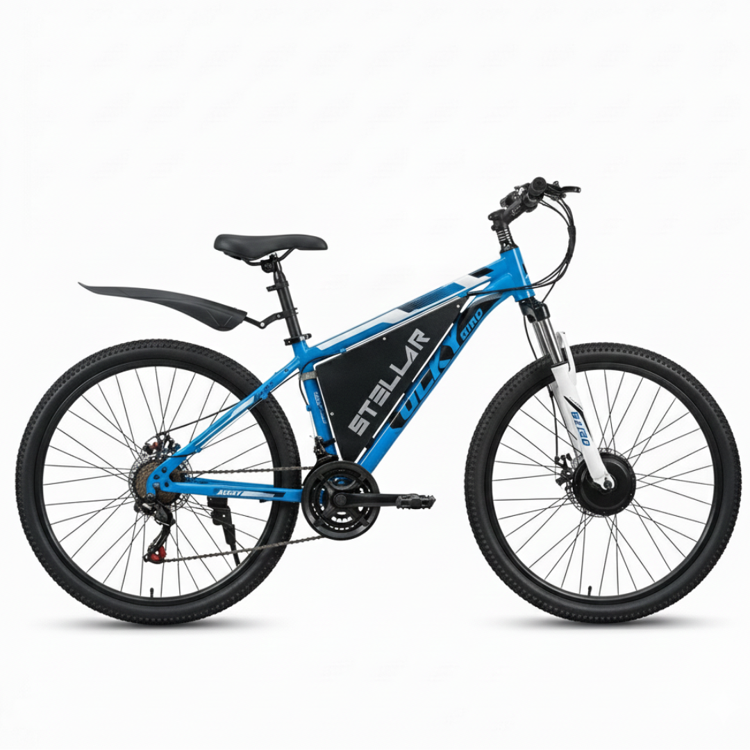 R1 Sports Electric Bike – Style & Speed