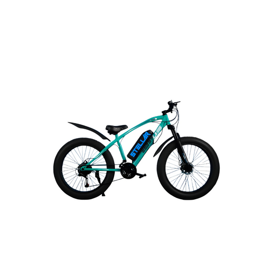 Stellar R1 Fat Ebike - The Best Electric Bike in Pakistan You Need to Try