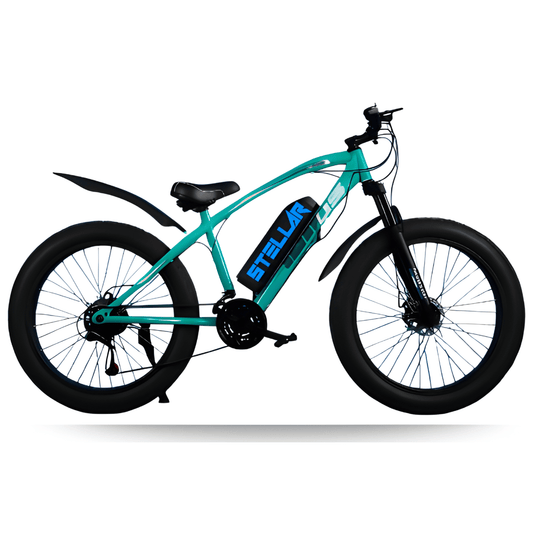 Stellar electric bicycle and electric bike models compared, Pakistan
