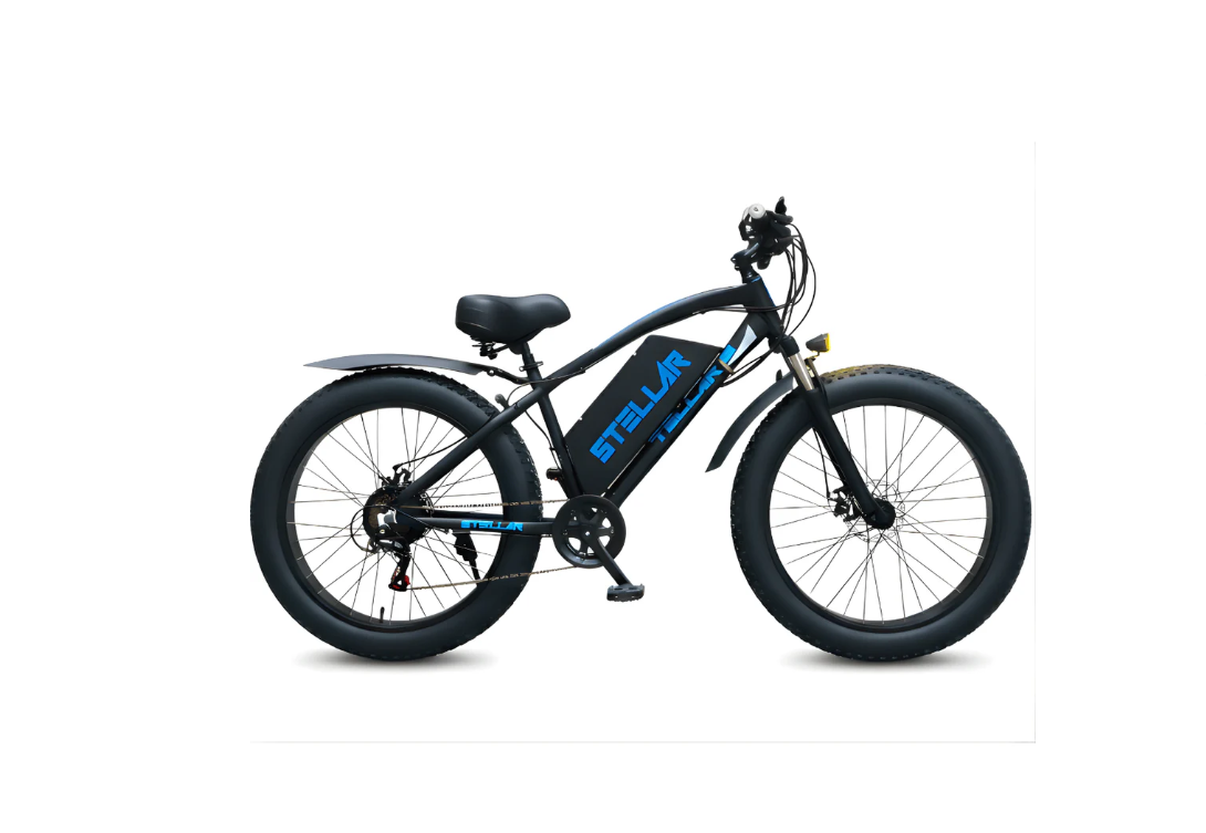 Ebike