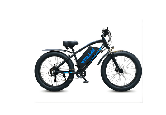 Ebike