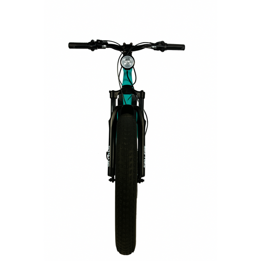 Stellar R1 Fat E-Bike
