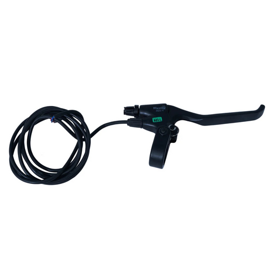Electronic Brakes