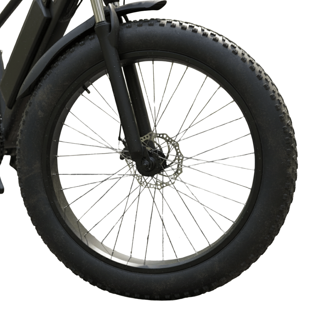 Stellar R4 Beast 48V 25Ah lithium battery ebike