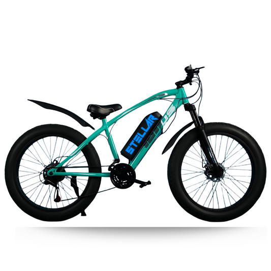 Stellar R1 Fat E-Bike